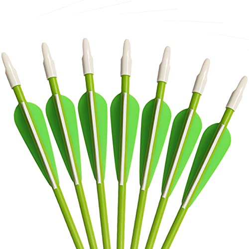 Pandarus Youth Safetyglass Arrows 28" Fiberglass Archery 26" Target Practice Arrows(Pack Of 12) (28 Inch Green) #TOP5