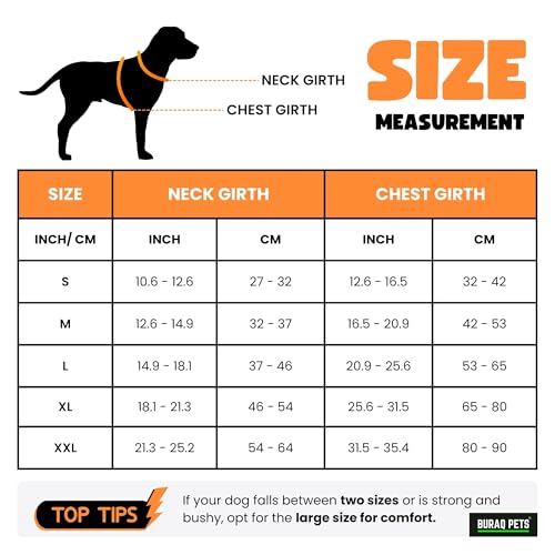 Image of Buraq Premium Dog Wedding Suit, Elegant Tuxedo with Bow Tie & Bandana, Comfortable, Washable Outfit for Dogs (L - Red)