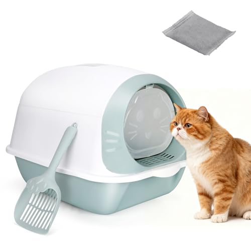 Masthome Lettiera per Gatti Chiusa, Toilette per Gatto con Coperchio Estraibile e Paletta, Filtro Che Riduce i Cattivi Odori, Vassoio per Lettiera per Gatti, 50x35x37 cm, Azzurro
