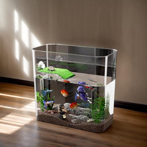 Aquarium pour poissons Betta transparent et compact de bureau - 7