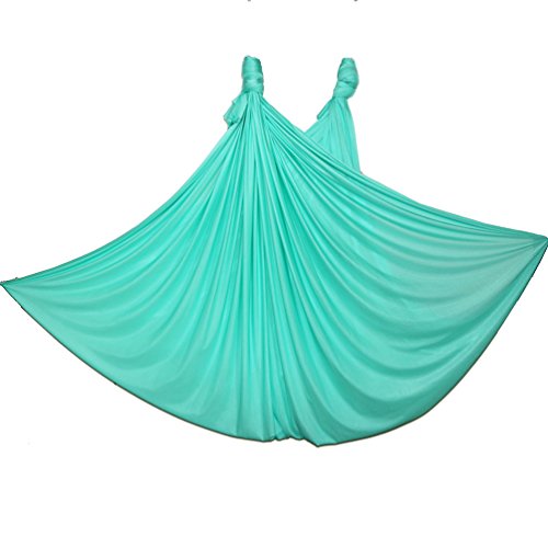 Wellsem Deluxe L:5.5 Yards W:3 Yard Pilates Yoga Flying Swing Aerial Yoga Hammock Silk Fabric For Yoga Bodybuilding(5Mx2.8M) (Seafoma Green) #TOP1