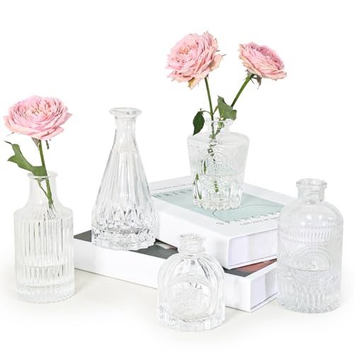 SUPMIND Glass Bud Vase Set of 5, Clear Small...