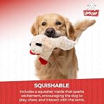 Multipet Lamb Chop Dog Plush Toy - Squeaky Toy for Small & Medium Dogs - Extra Soft Plush - Stuffed Animal for Cuddling & Playing (10", Cream, 5 Squeakers) - Image 5