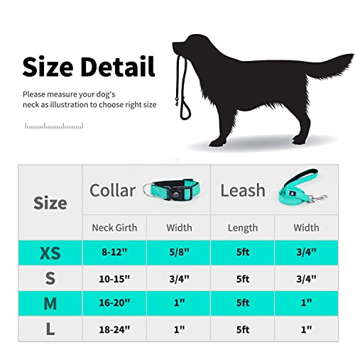Ivy&Lane Reflective Dog Collar And Leash Set,Adjustable Neoprene Padded Dog Collars For Puppy thumb #5