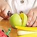 Hape Healthy Fruit Playset (unit 2)