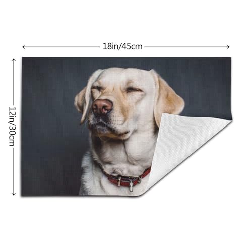 Set de table labrador lavable pour embellir vos déjeuners en terrasse