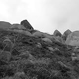 white paddy mountain