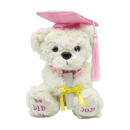 Ours en peluche de diplôme pour célébrer la réussite des écoliers et adolescents