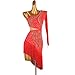 ZHQNZJF Latin Dance Dresses for Women Tassel Cha Cha Modern Dance Competition Costume Hollow Tango Dancewear,E,S