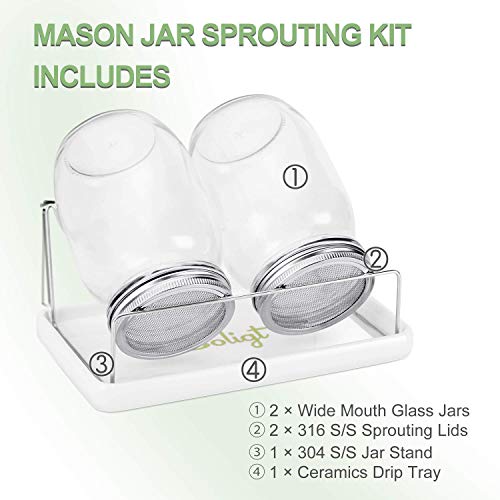 Image of Complete Mason Jar Sprouting Kit - 2 Wide Mouth Quart Sprouting Jars with 316 Stainless Steel Sprouting Lids, Drip Tray and Stand
