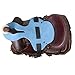 SADDLE SIDEKICKS Junior Designer Buddy Stirrups – Adjustable Kids Training Stirrups for Western Saddles - with Blue Tapaderos