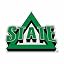 Delta State Statesmen Primary