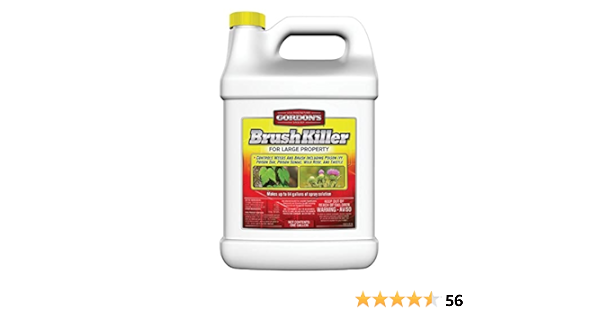 GORDON'S Brush Killer for Large Property