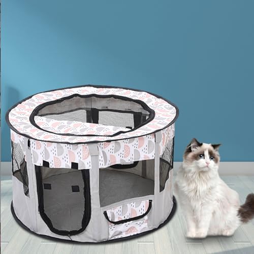  T[N T[N    T[N  ybgP[W ybgeg܂肽ݎybgYLɐBegz pP[W(H)