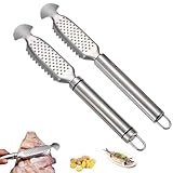 9-Inch Stainless Steel Multifunctional Fish Scaler with Ginger, 2-in-1 Stainless Steel Fish Scaler, For Easy Descaling, Grating & Cleaning, Kitchen Tool for Pro Scale Remover (A+B)