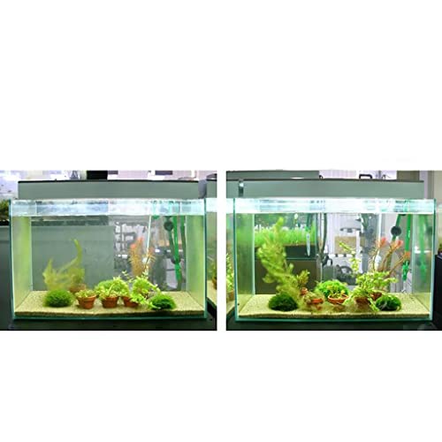 2 unidades esponja de espuma para estanque miniatura 5