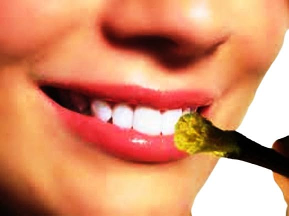Timosha™ || KARANJ - Datoon|Datwan|Chew-Stick || 45 pcs. - Image 7 thumbnail