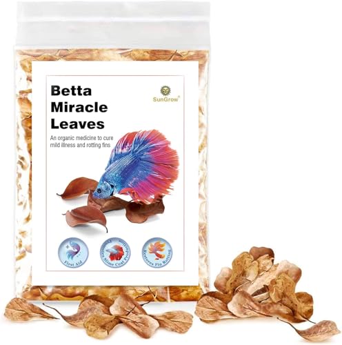 SunGrow 50 Pcs Mini Catappa Indian Almond Leaves for Betta Fish Aquarium, Shrimp, Frogs, Improves Habitat, Gives Tea Color, Helps in Lowering Aquarium Water pH, Improves Immunity