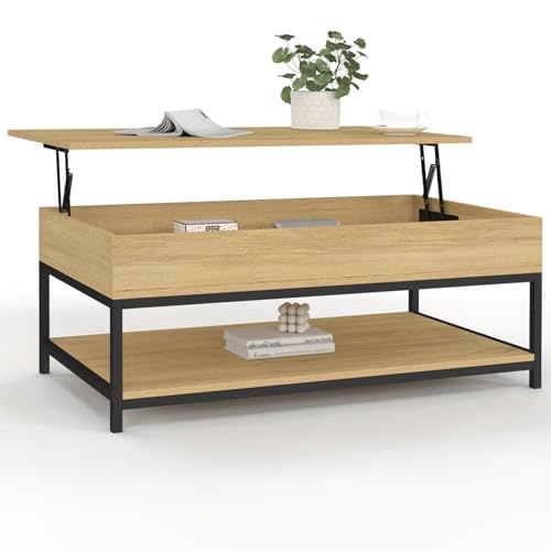 IDMarket Detroit - Mesa de centro, con parte superior abatible integral y estante inferior, diseño...
