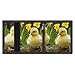 LPSBVNM Cute Baby Ducks Trifold Wallet Slim Security Wallet for Men Women Card Holder Key Ring Photo Window Fashion Wallets