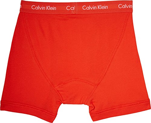 Image of Calvin Klein Men's Cotton Briefs (Pack Of 3)