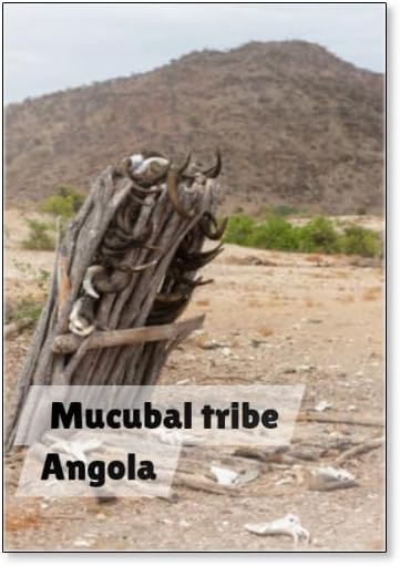 Mucubal Tribe Totems Made with Cattle Horns, Namibe Province, Virei, Angola, Fridge Magnet