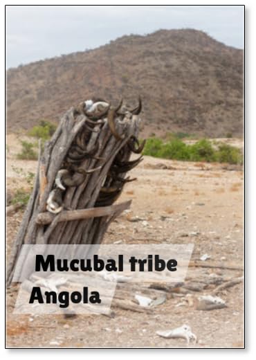 Mucubal Tribe Totems Made with Cattle Horns, Namibe Province, Virei, Angola, Fridge Magnet