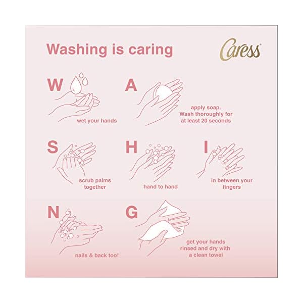 Caress Body Wash with Pump To Relax & Recharge Sheer Twilight With Floral Oil Essence, 25.4 Ounce (Pack of 4)