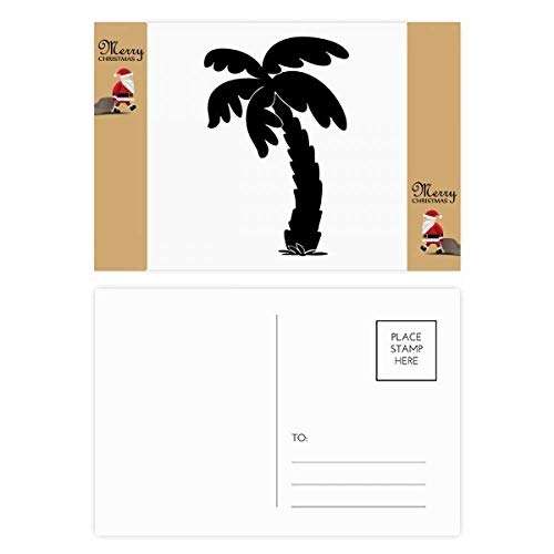 Plants de noix de coco Noir : lot de 20 jeunes arbres tropicaux pour jardinier