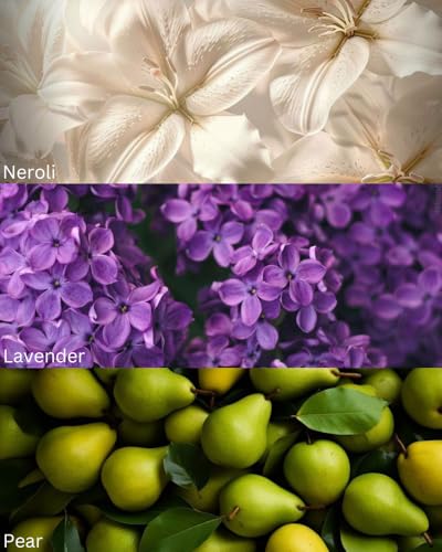 Image of TOXICMALE L?Homme + Ultra Male | Perfect Long lasting Men's perfume for Party | perfumes for men | Gift for him | TMA33 | 50 ml perfume | TM Perfume House