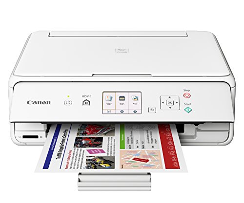 canon white ink cartridge