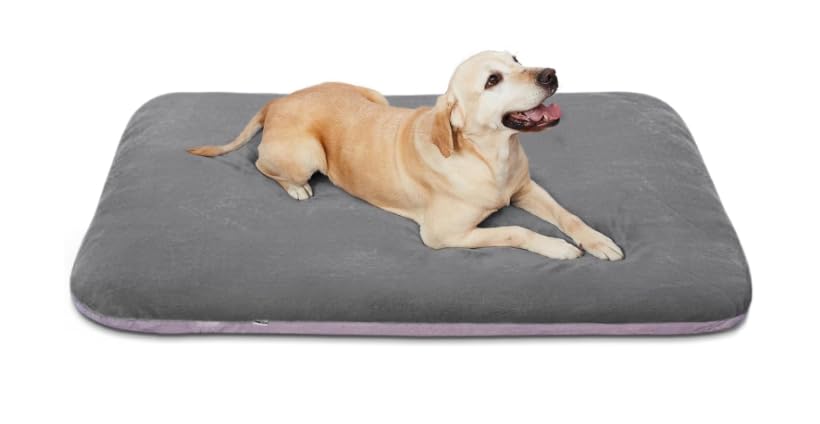 Dreamland Doggys Bed Orthopedic Pet Beds Jumbo Crate Pad Mat Washable Anti Slip Dog Sleeping Mattress with Removable Cover,Fleece, Light Grey (L) (B0CVW651HY) Amazon Price History, Amazon Price Tracker