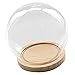 SODIAL Campana de Cristal Decorativa con Piso de Madera, contenedor de Vidrio...