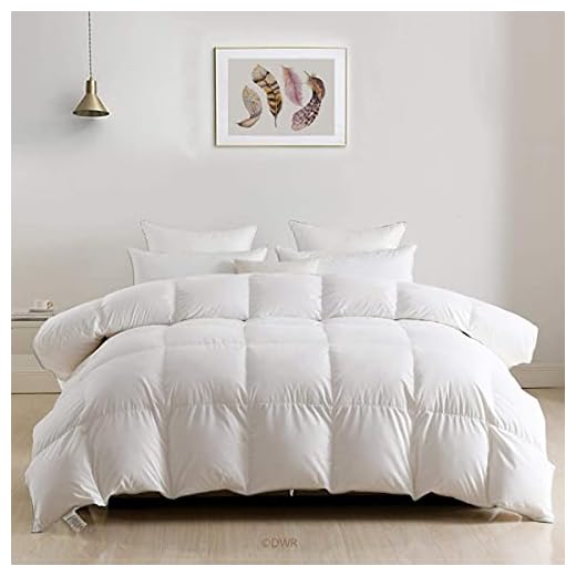 DWR Luxury Feathers Down Comforter Full/Queen, Hotel-Style Fluffy Duvet Insert, Ultra-Soft Egyptian Cotton Cover, 750 Fill Power 46oz Medium Weight for All Season(90x90, White)