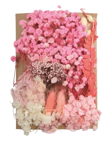 Flores secas 135 gramos para manualidades variadas miniatura 6