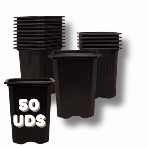 GROWMANIA Pack 50 Macetas Negras Cuadradas para Plantas 8 x 7 x 7 cm - 50 Maceteros de Plástico para Flores 8 x 7 x 7 cm - Ideal Exterior e Interior Flores, Esquejes y Semillas
