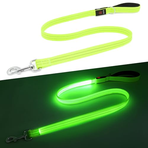 Kpuplol LED-Hundeleine für nächtliche Spaziergänge, wiederaufladbar, wiederaufladbar, reflektierend, leuchtet im Dunkeln, mit gepolstertem Griff, Sicherheits-Leine für kleine, mittelgroße und große