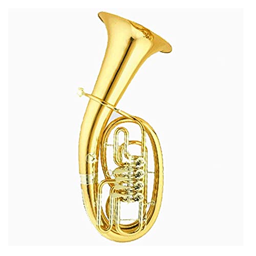 SHUNTIAN S[hbJ[ [tHjA([^[) g[ Bb ^Jdグ [tHjA