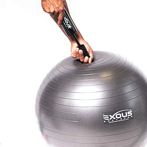 image for EXOUS BODYGEAR Exercize Ball Pump Dual 2-Way Inflator with 2 Replaceme