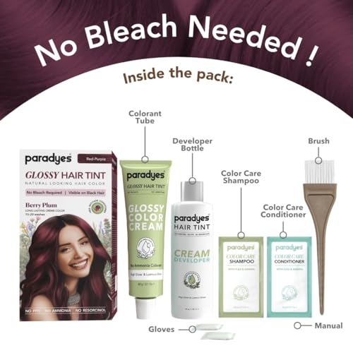 Image of Paradyes Berry Plum No-Bleach Glossy Hair Tint with 7-in-1 Hair Colouring Kit