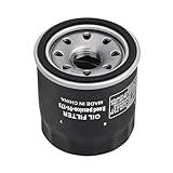 Road Passion 62700045 Oil Filter Compatible with Indian Springfield Dark Horse 2019 2020 2021 2022