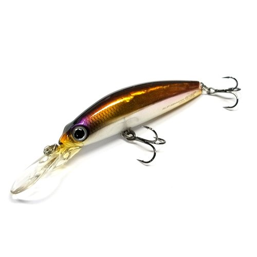 常吉　ツネキチ　tsunekichi スリップミノー 60 セット Amazon | TSUNEKICHI/常吉 SLIP MINNOW/スリップミノー60SP