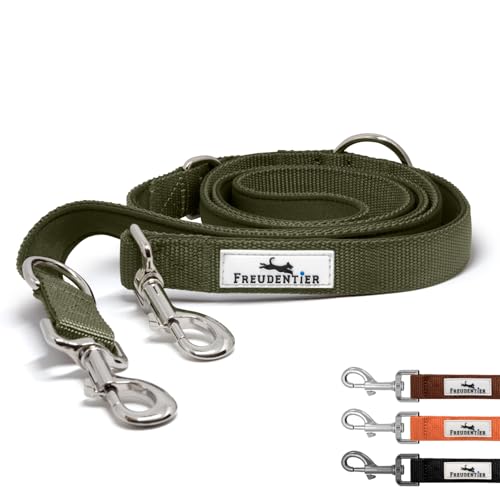 Freudentier-Dog-Leash-6-ft--Fully-Padded-for-Comfort-Adjustable-Length--Strong-Nylon-Durable-Reflective-Leash-for-Medium-Large-Dogs-Forest-Green-6ft-x-34in Freudentier Dog Leash 6 ft – Fully Padded for Comfort, Adjustable Length – Strong Nylon, Durable & Reflective Leash for Medium & Large Dogs (Forest Green, 6ft x 3/4in) - Image 1