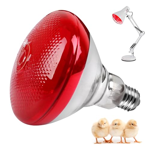 BORDEAG Lámpara De Luz Roja Lámpara De Calor, 150 W Calentadores Para Gallineros, Lámpara Calefactora Gallinero, Lámpara De Calor Animales Lámpara Infrarroja Termostática Automática