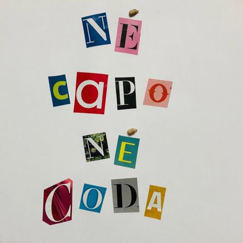 Page de couverture de Né capo né coda