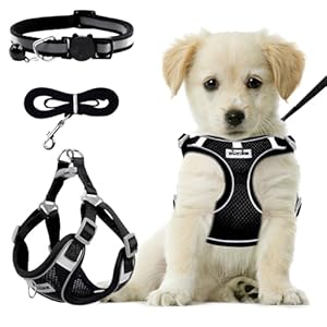 RAFIYU Harnais Chien avec Laisse, Anti Traction pour Petite et Moyenne Taille – Respirant, Lumineux, Réglable – Harnais de Sécurité – Taille S