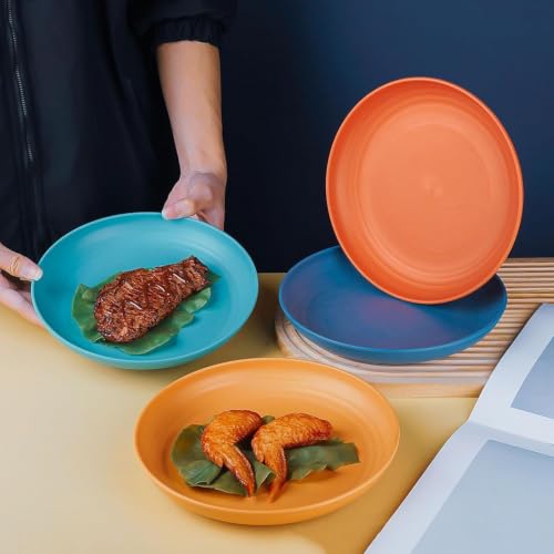 Image of Wheat Straw Dinner Plate Set, Eco-Friendly Dinner Set Round Serving Plate, Dishwasher & Microwave Safe - Perfect for Dinner Dishes Deep Plates Easy to Clean (MULTI-4PCS, 23 CM)