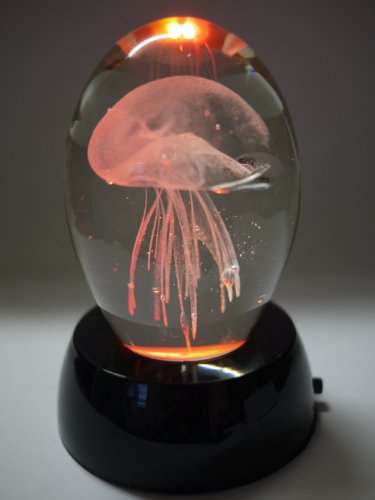 B00BJTIH6A 3.75 Inch Valentine Special Glass Jellyfish Paperweight thumb #1