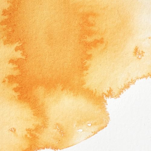 Image of Winsor & Newton Professional Water Color with Half Pan, Orange