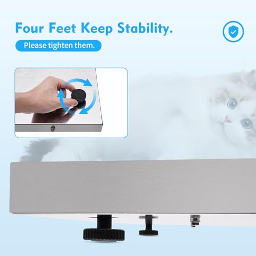 Báscula digital para mascotas y correspondencia con plataforma de acero inoxidable miniatura 4